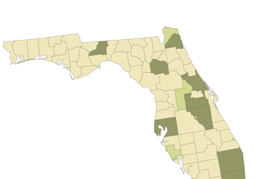 Navigating the Political Landscape of LGBTQ+ Rights in Orange County, Florida